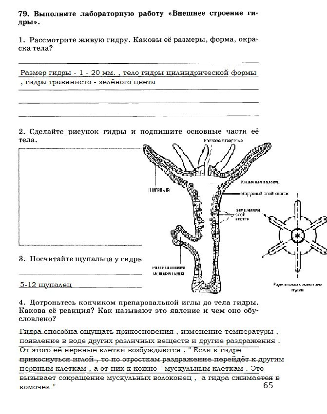 Ссылки кракен 2024